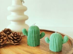 Cactus Candles - Set of two